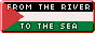 a button of the Palestine flag that says 'From the river to the sea, Palestine will be free'  